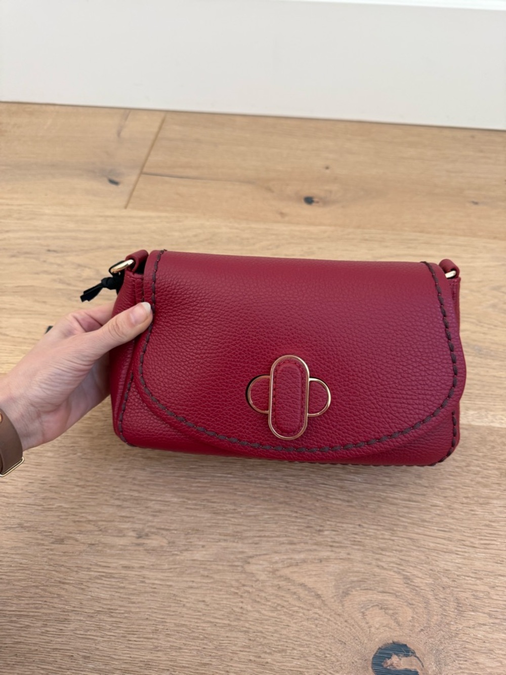 Plinio Visona Italia Red Leather Crossbody Bag Gold Hardware Turn Lock NWT - Picture 6 of 8
